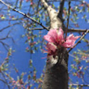 Meet your Posher, Gloria